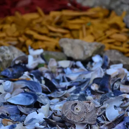 Complex Majestic ジュピテル