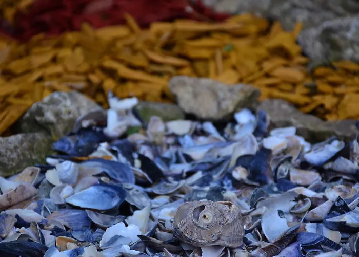 Complex Majestic Jupiter