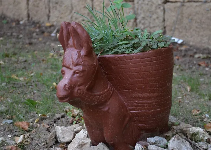 Complex Majestic Jupiter All Inclusive